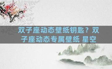 双子座动态壁纸钥匙？双子座动态专属壁纸 星空